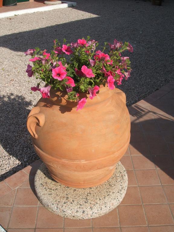 La Locanda Country House Borgo Montenero Luaran gambar